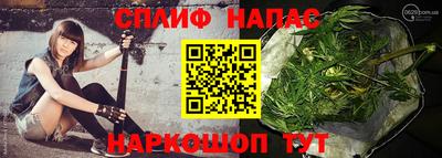 шишки Пушкино