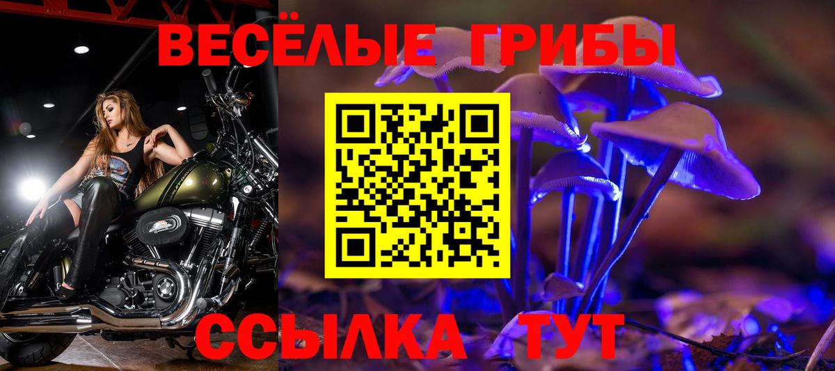 Псилоцибиновые грибы Psilocybine cubensis Советская Гавань